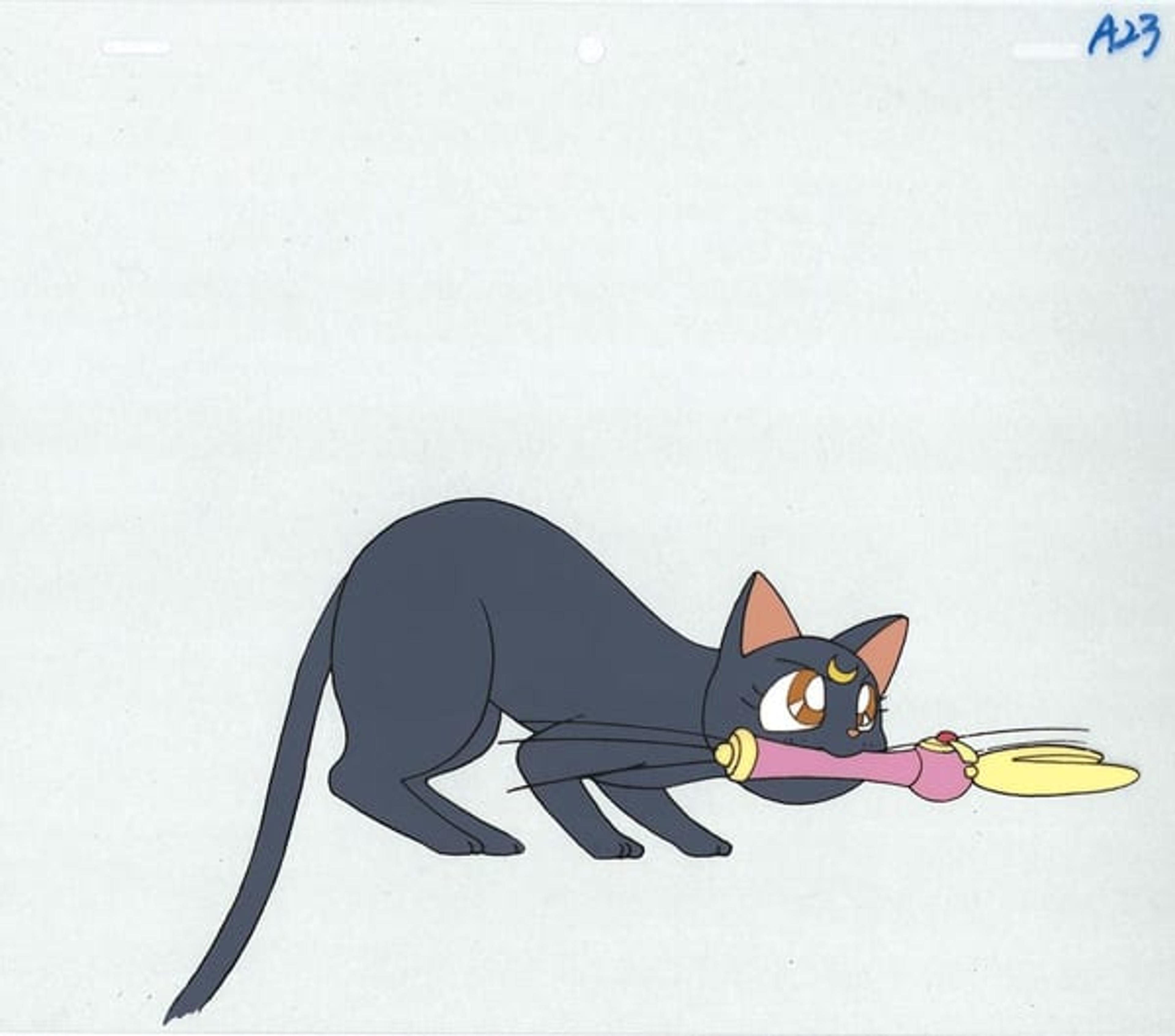 Sailor Moon