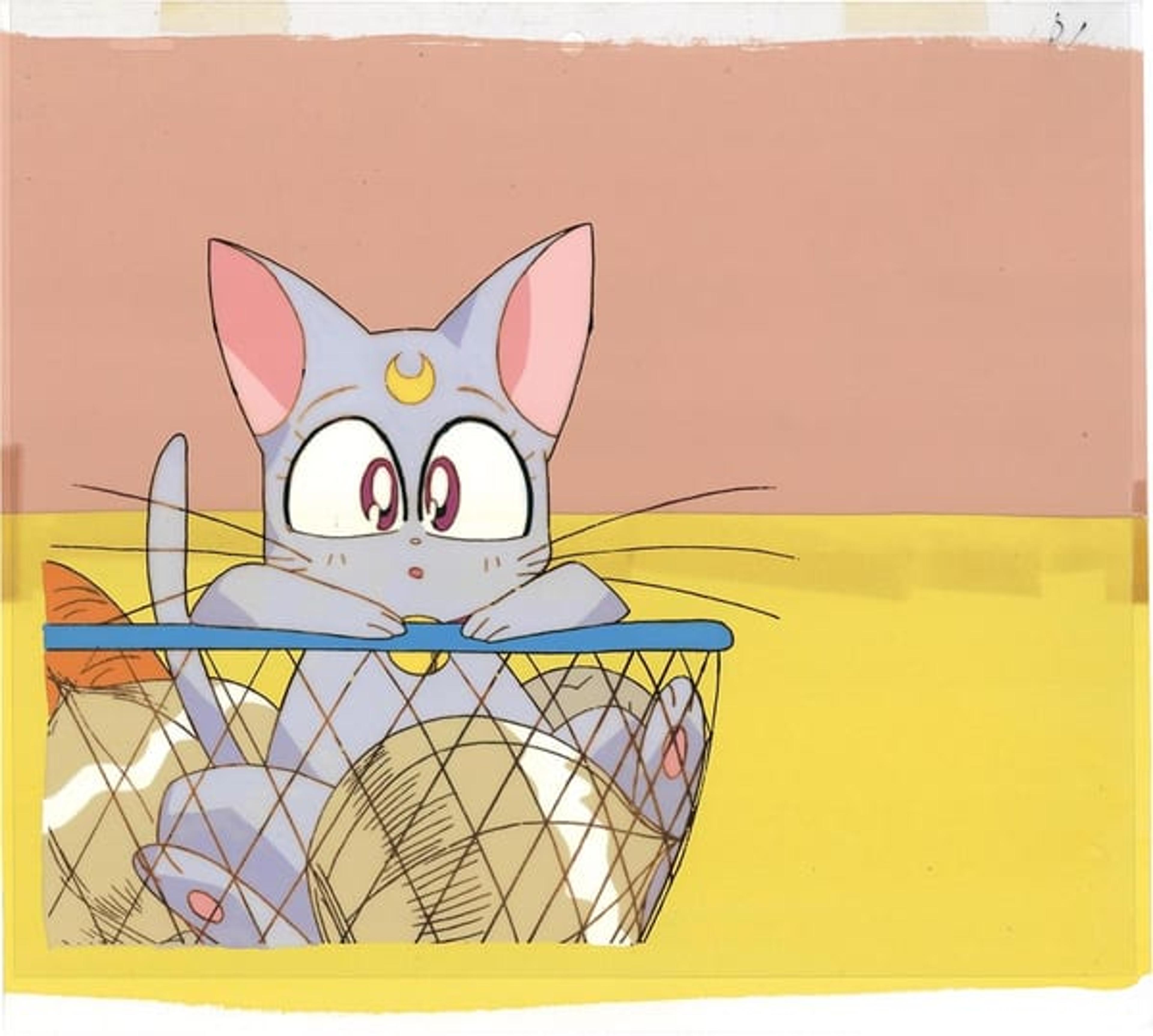 Sailor Moon