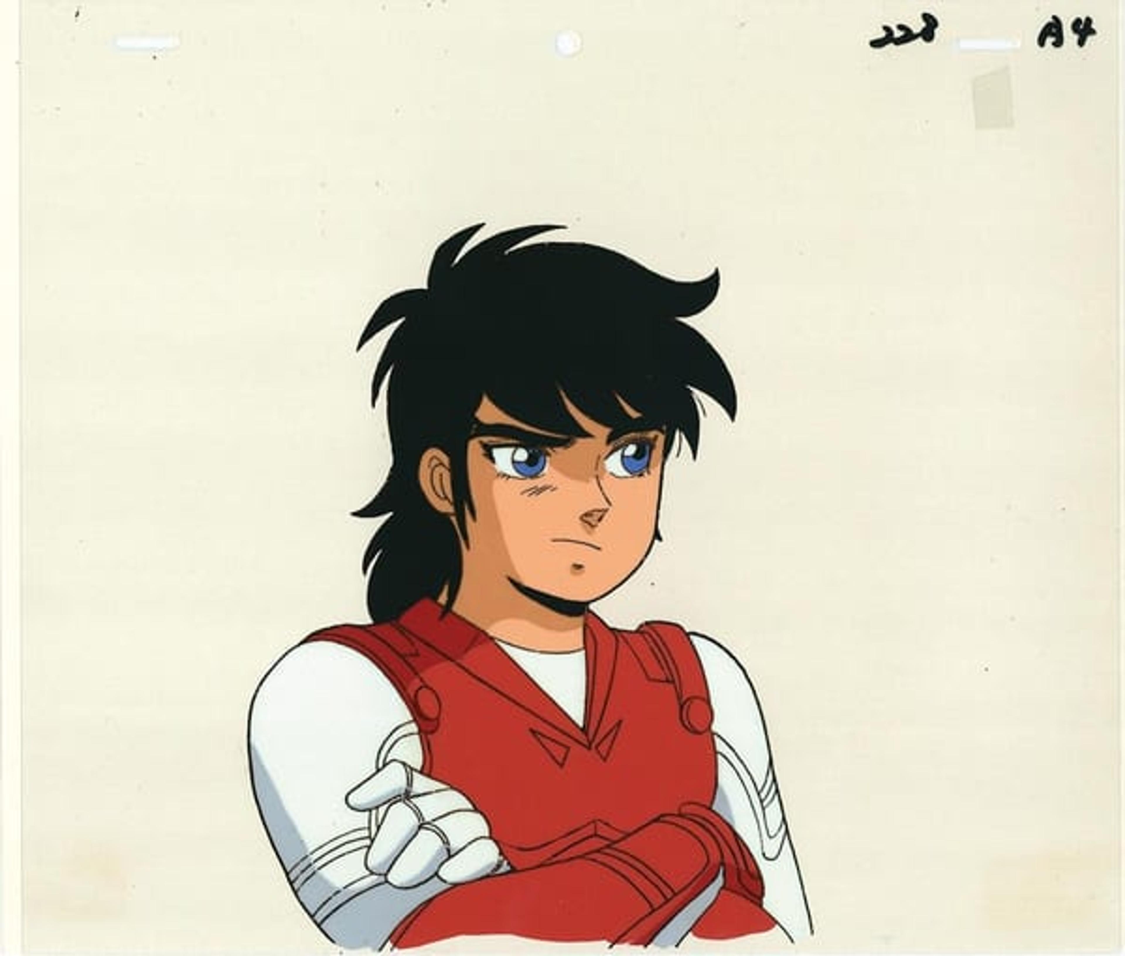 Ronin Warriors