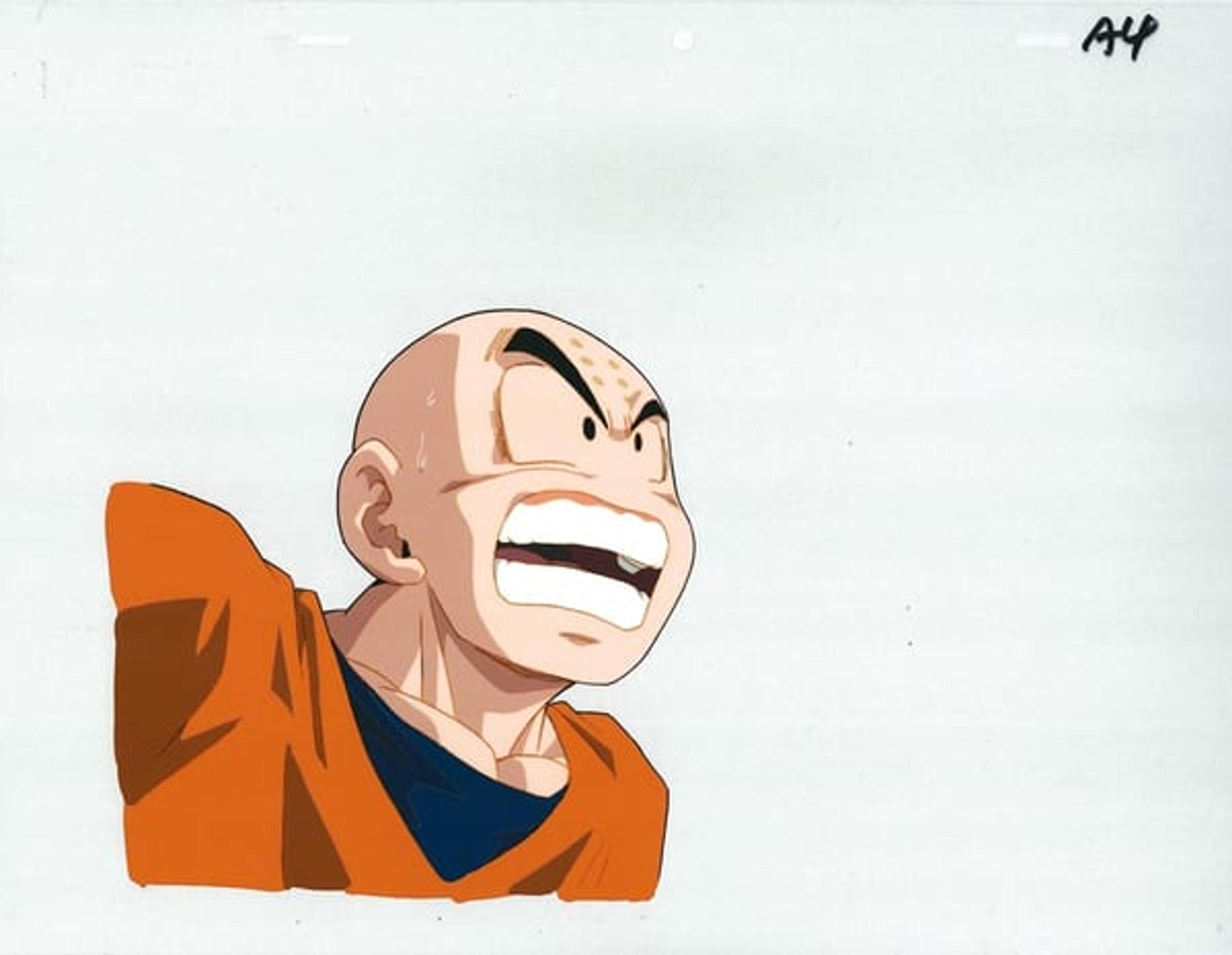 Dragon Ball Z