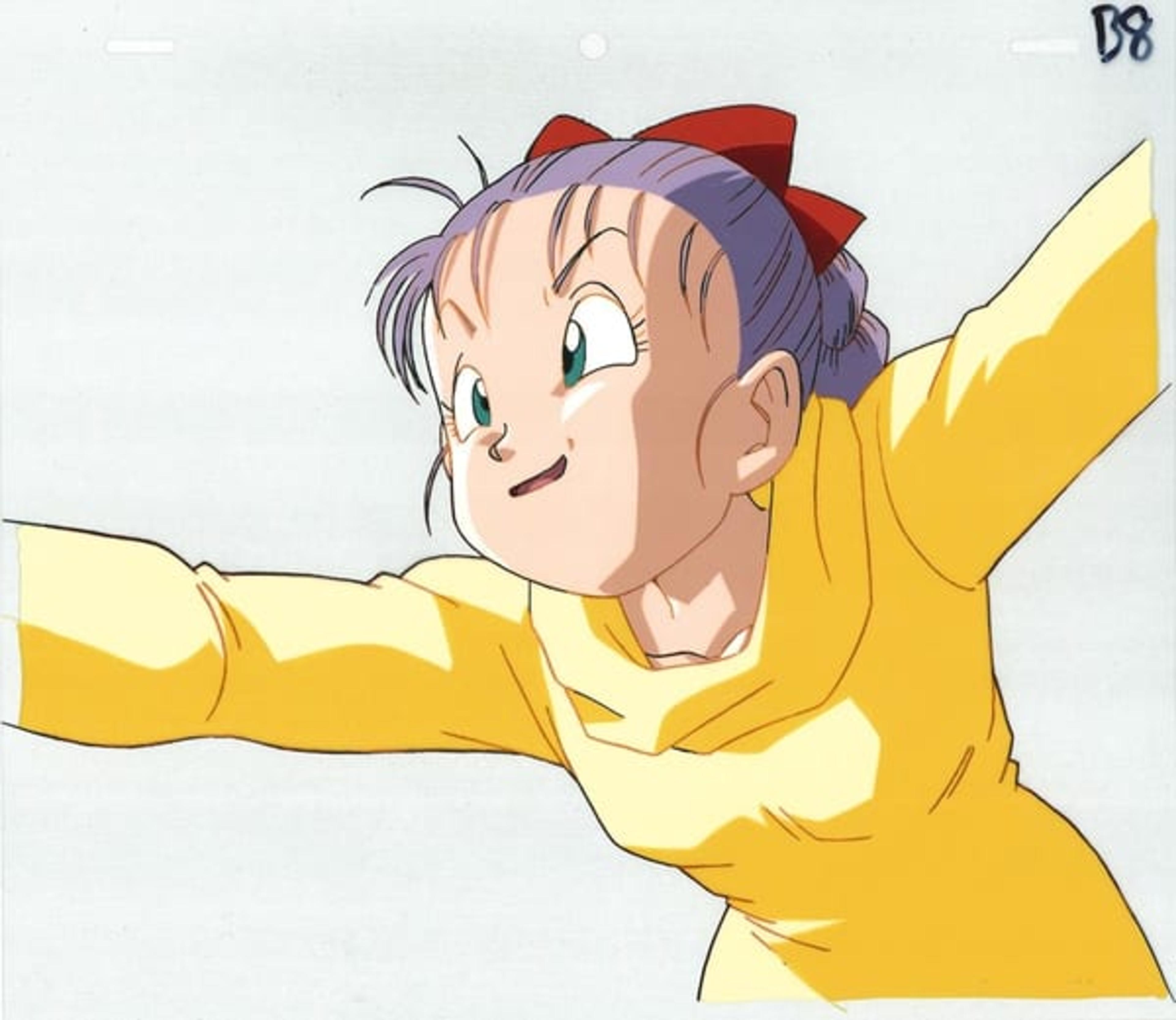 Dragon Ball: The Path to Power