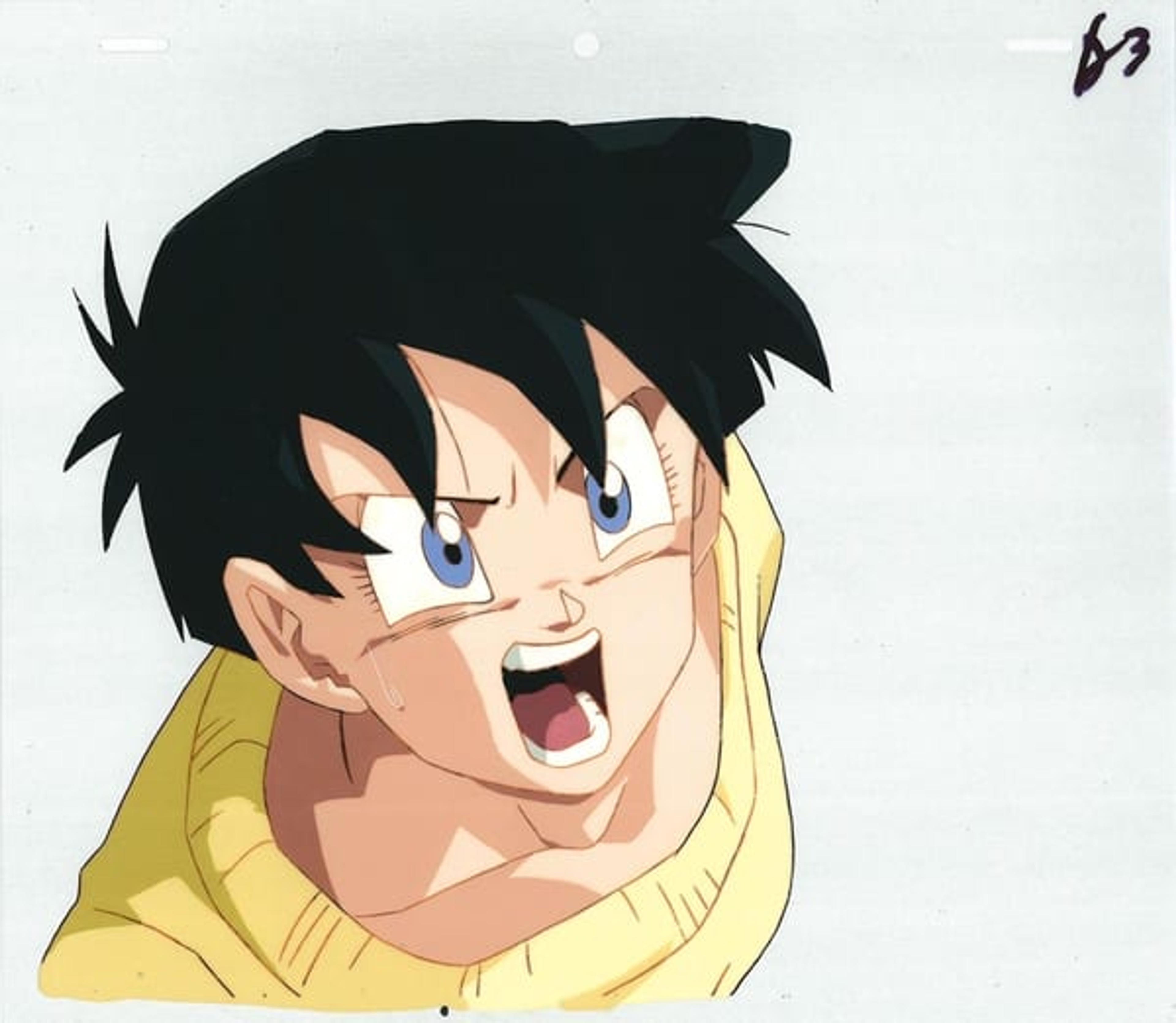Dragon Ball Z