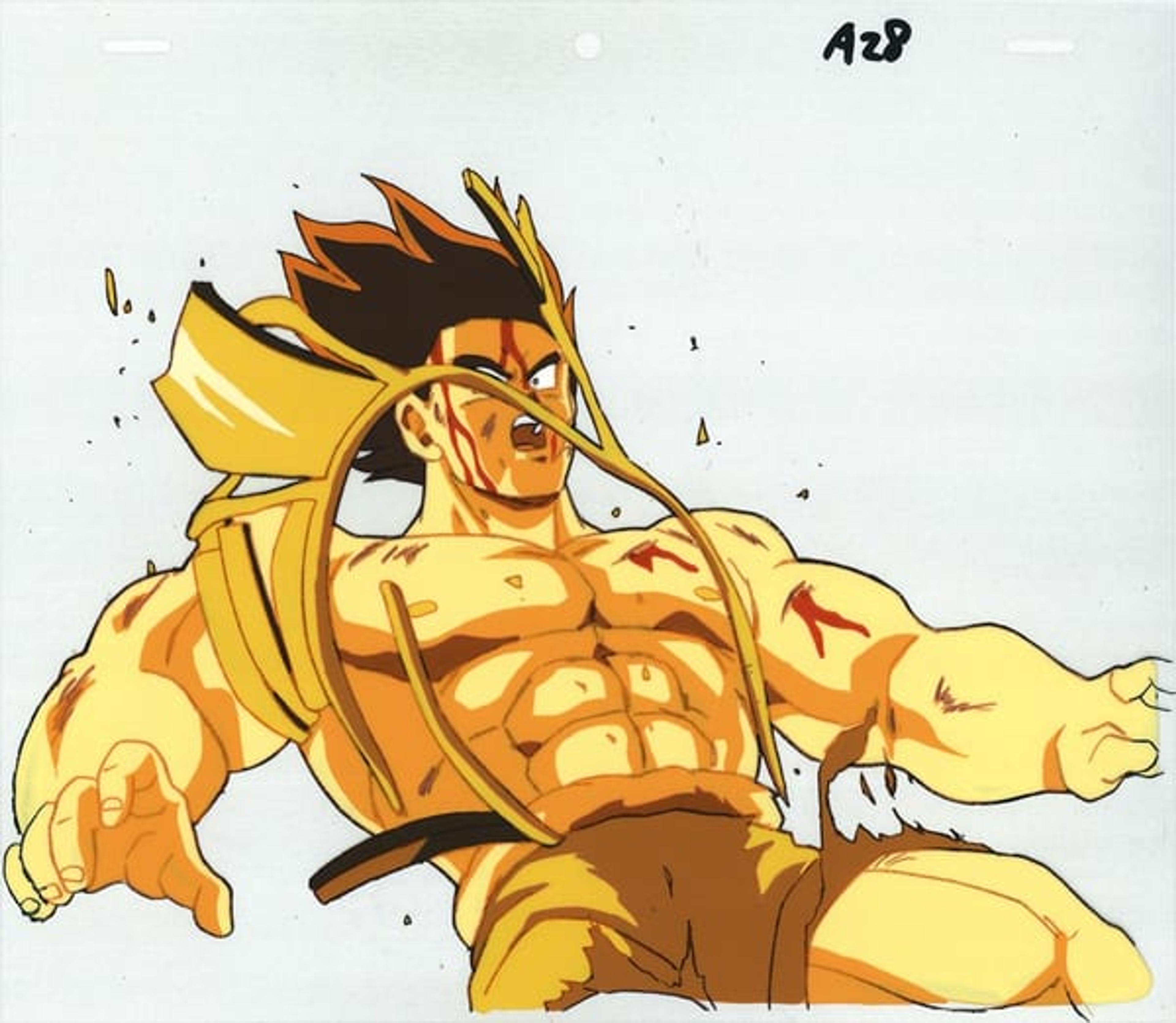Dragon Ball Z