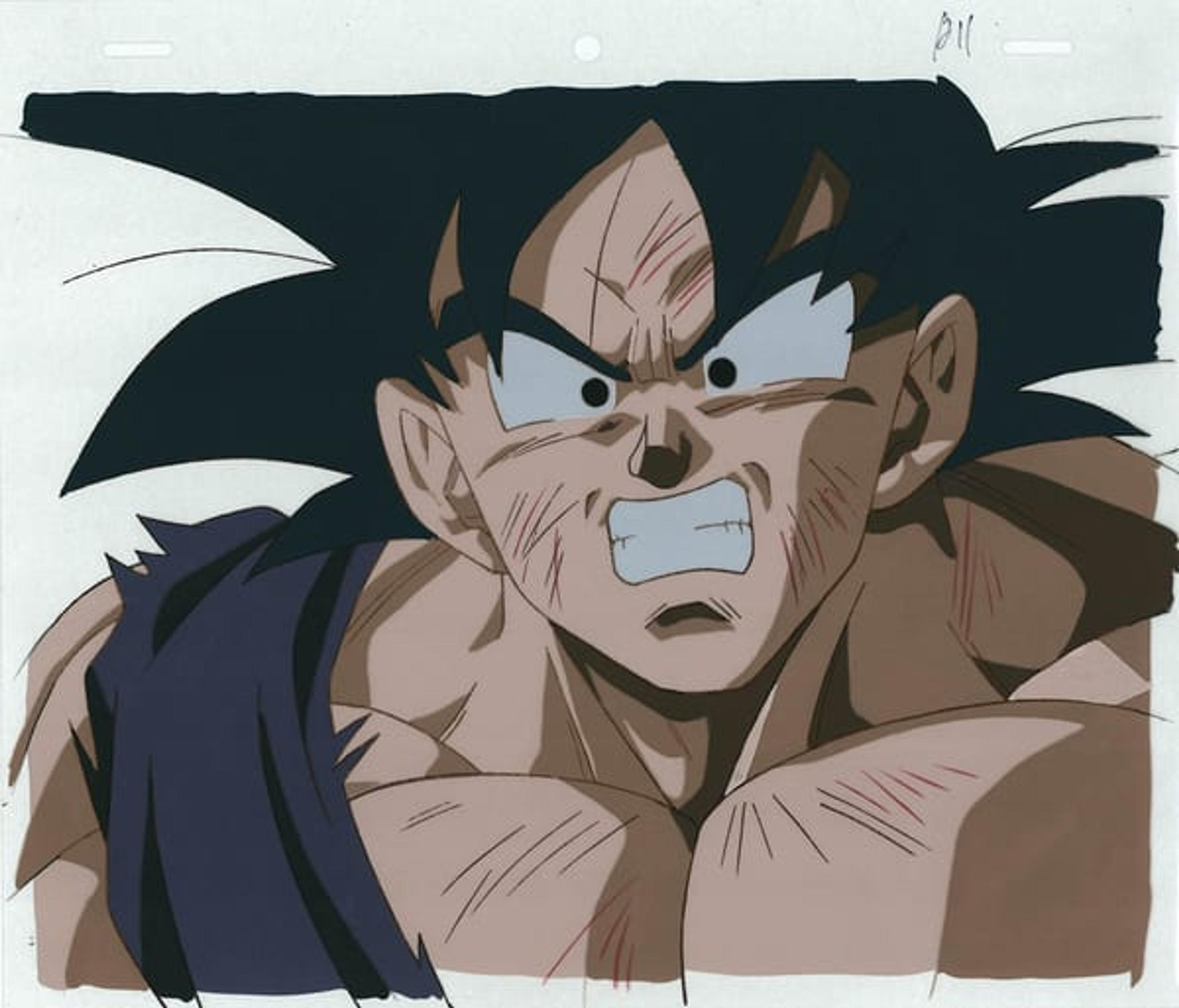 Dragon Ball Z