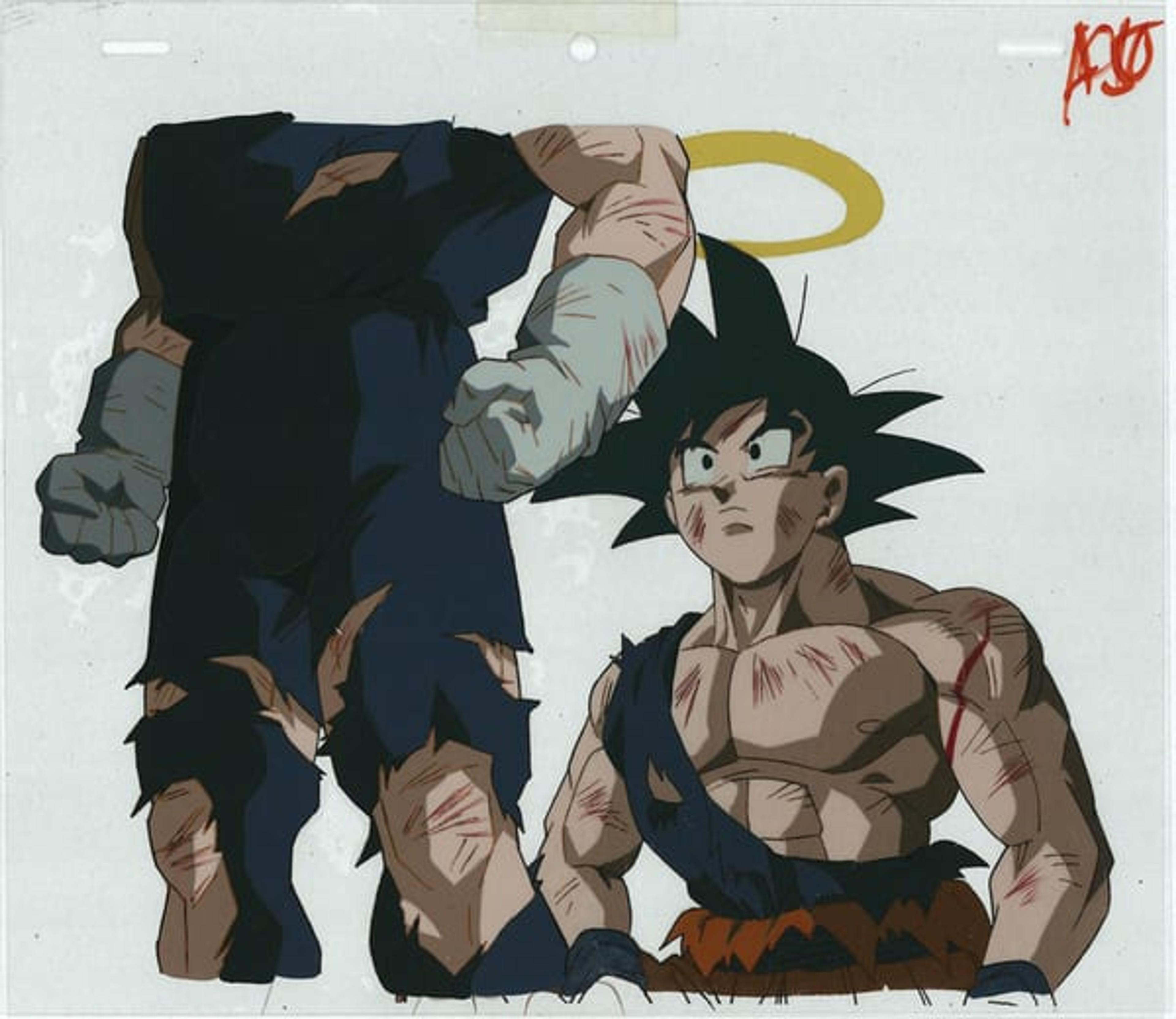 Dragon Ball Z: Fusion Reborn