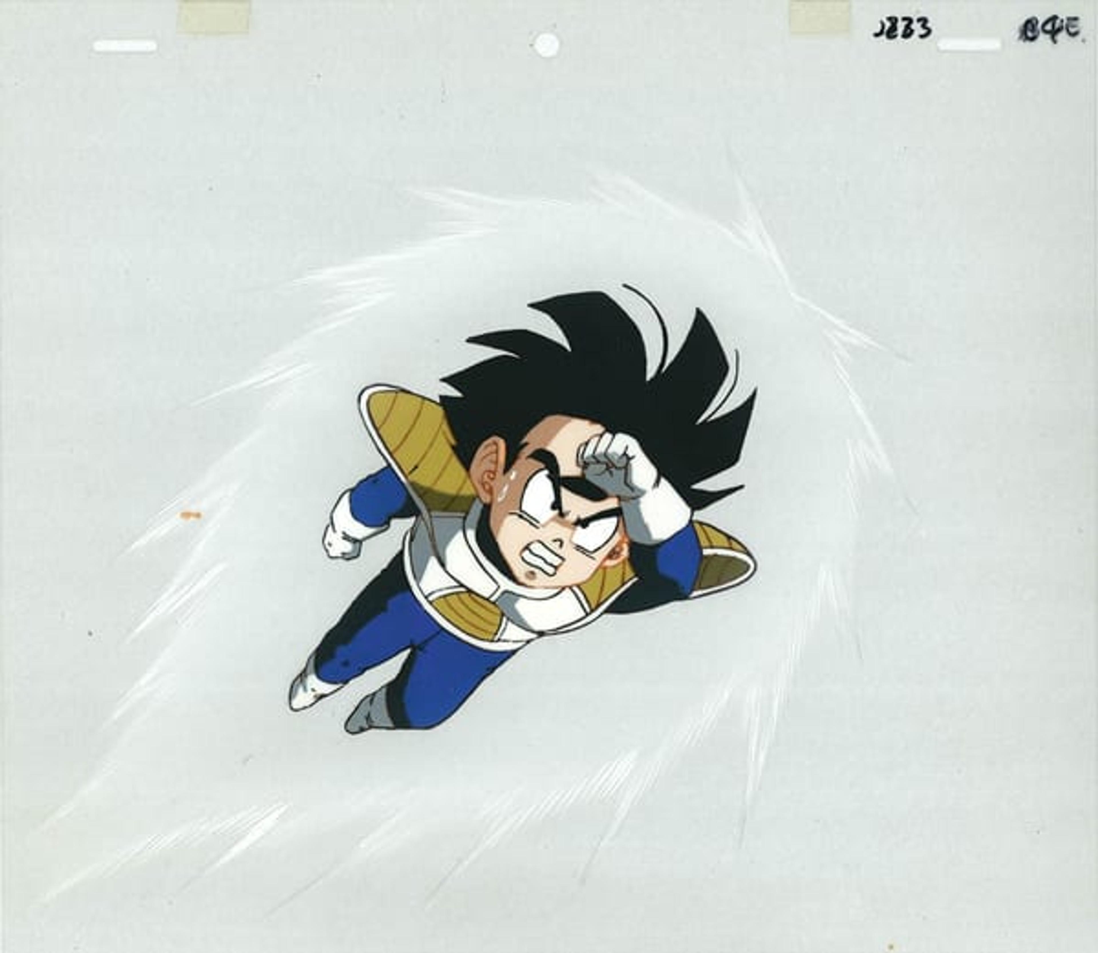 Dragon Ball Z