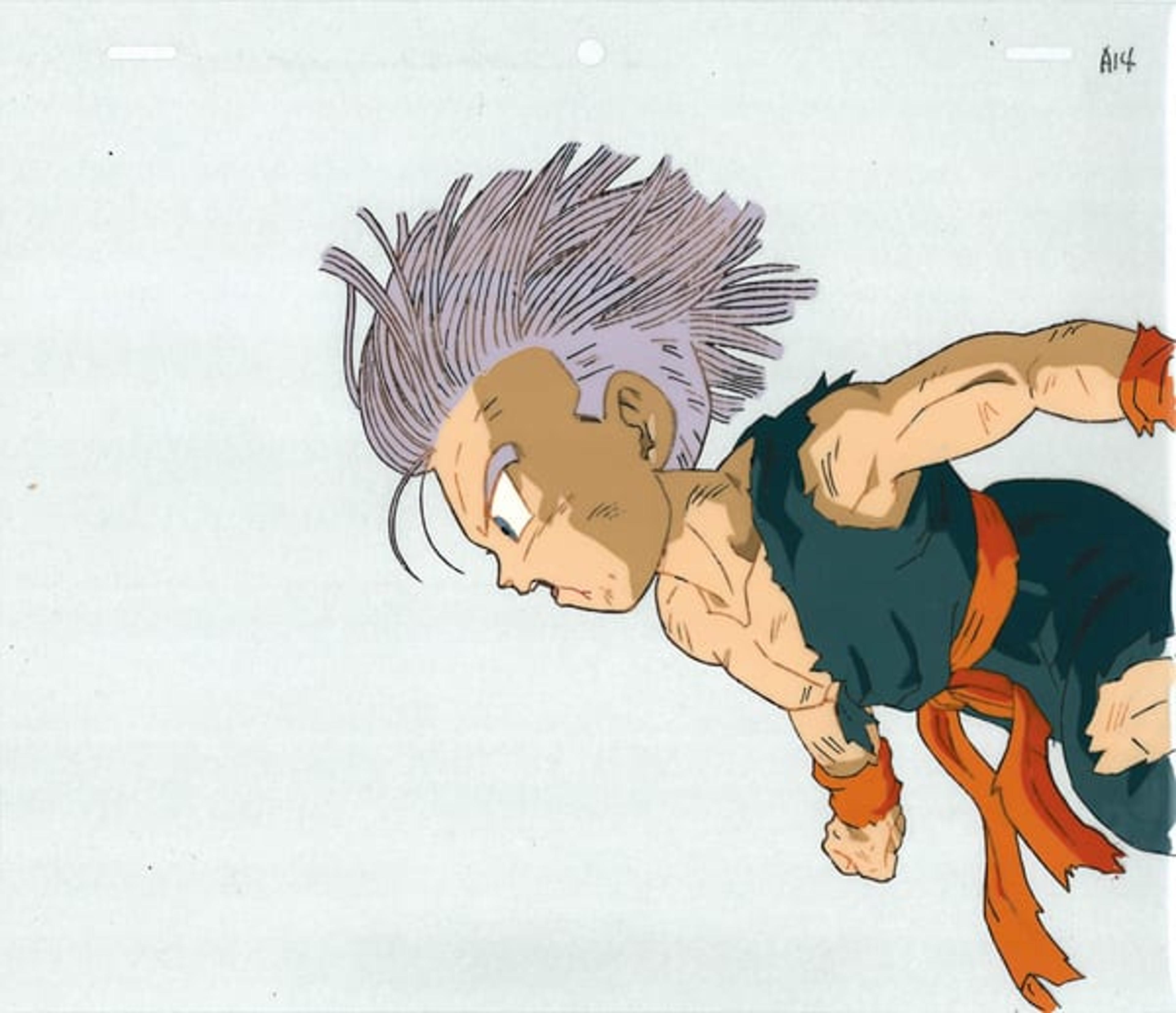 Dragon Ball Z
