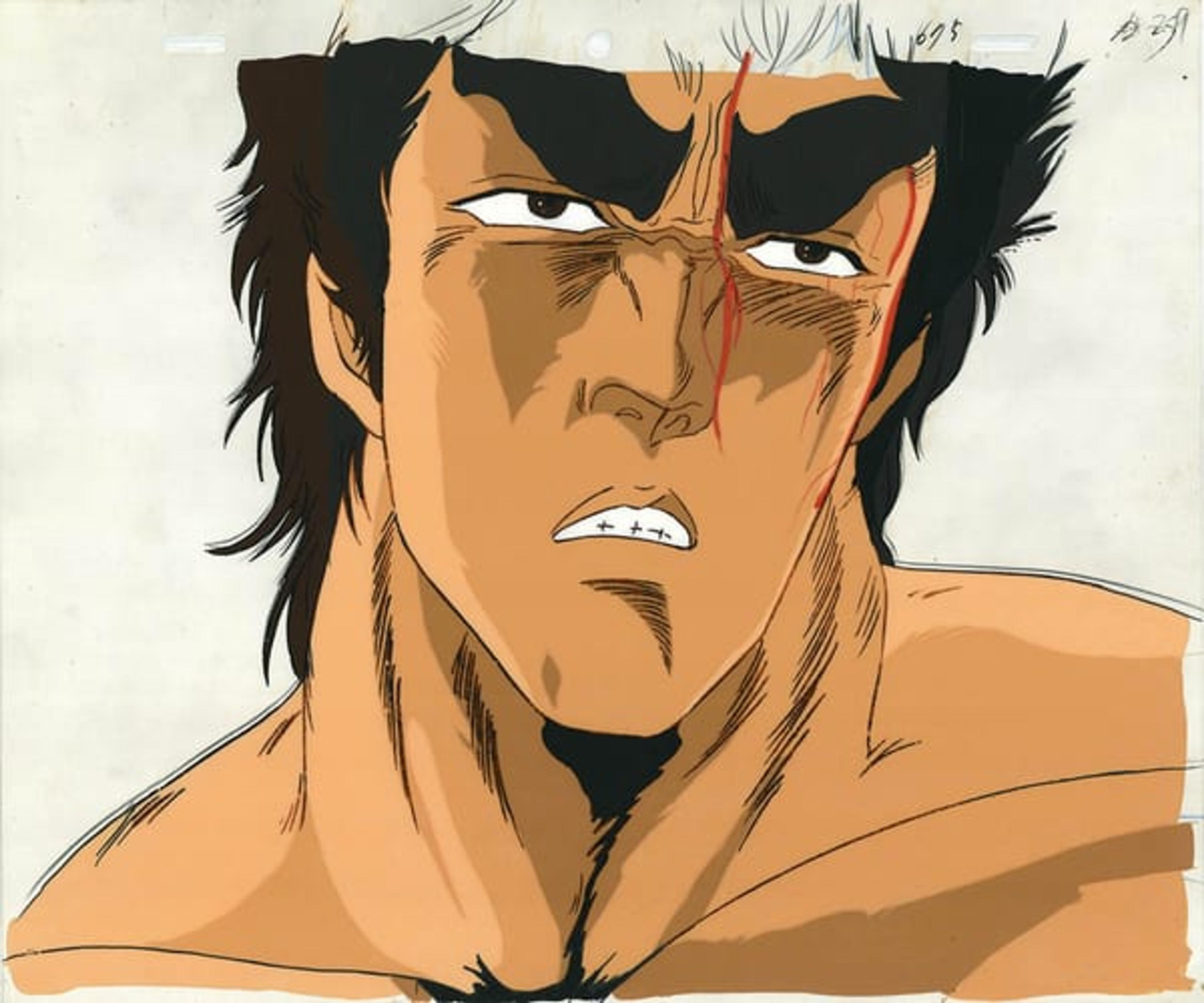 Fist of the North Star