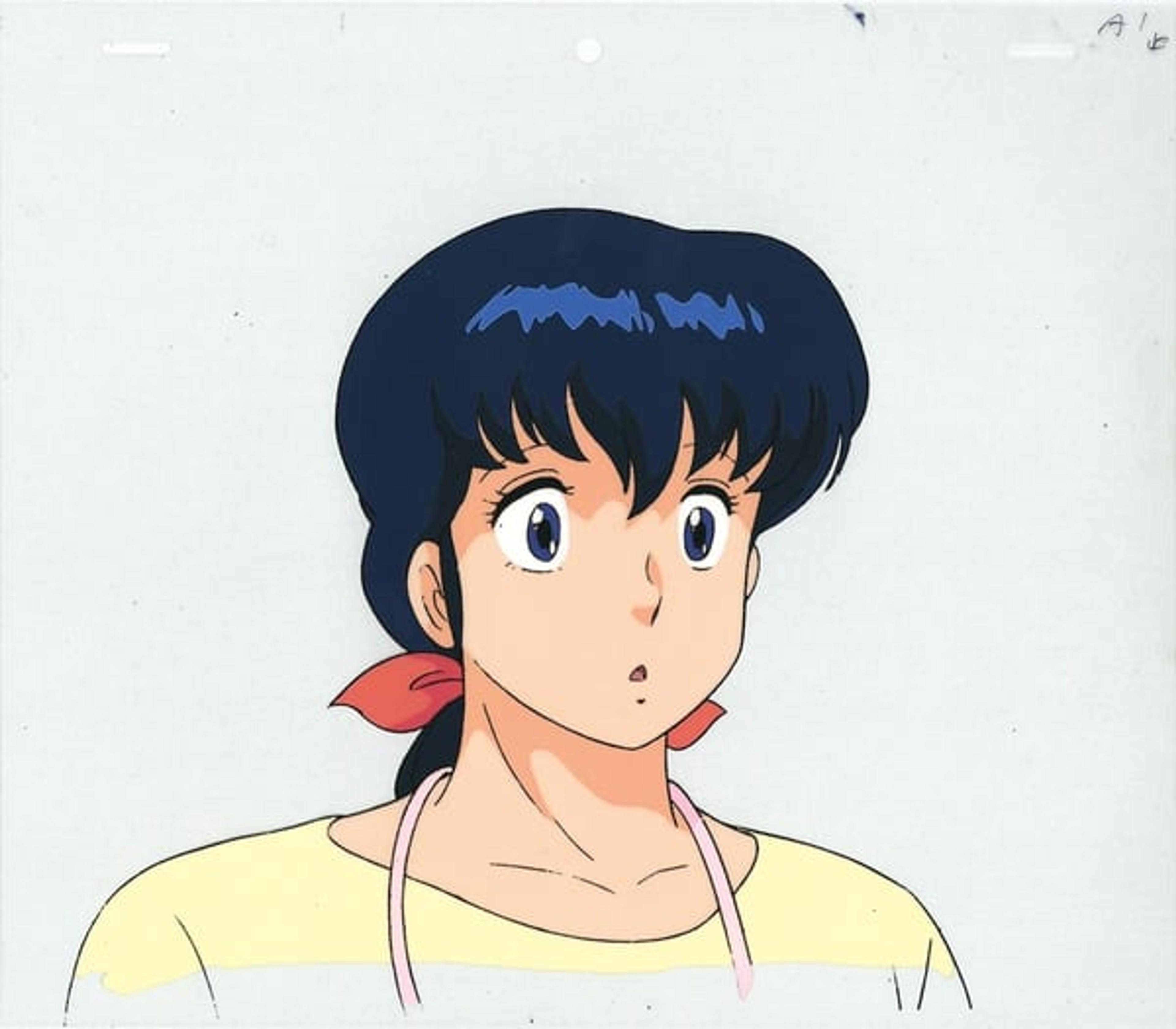 Maison Ikkoku