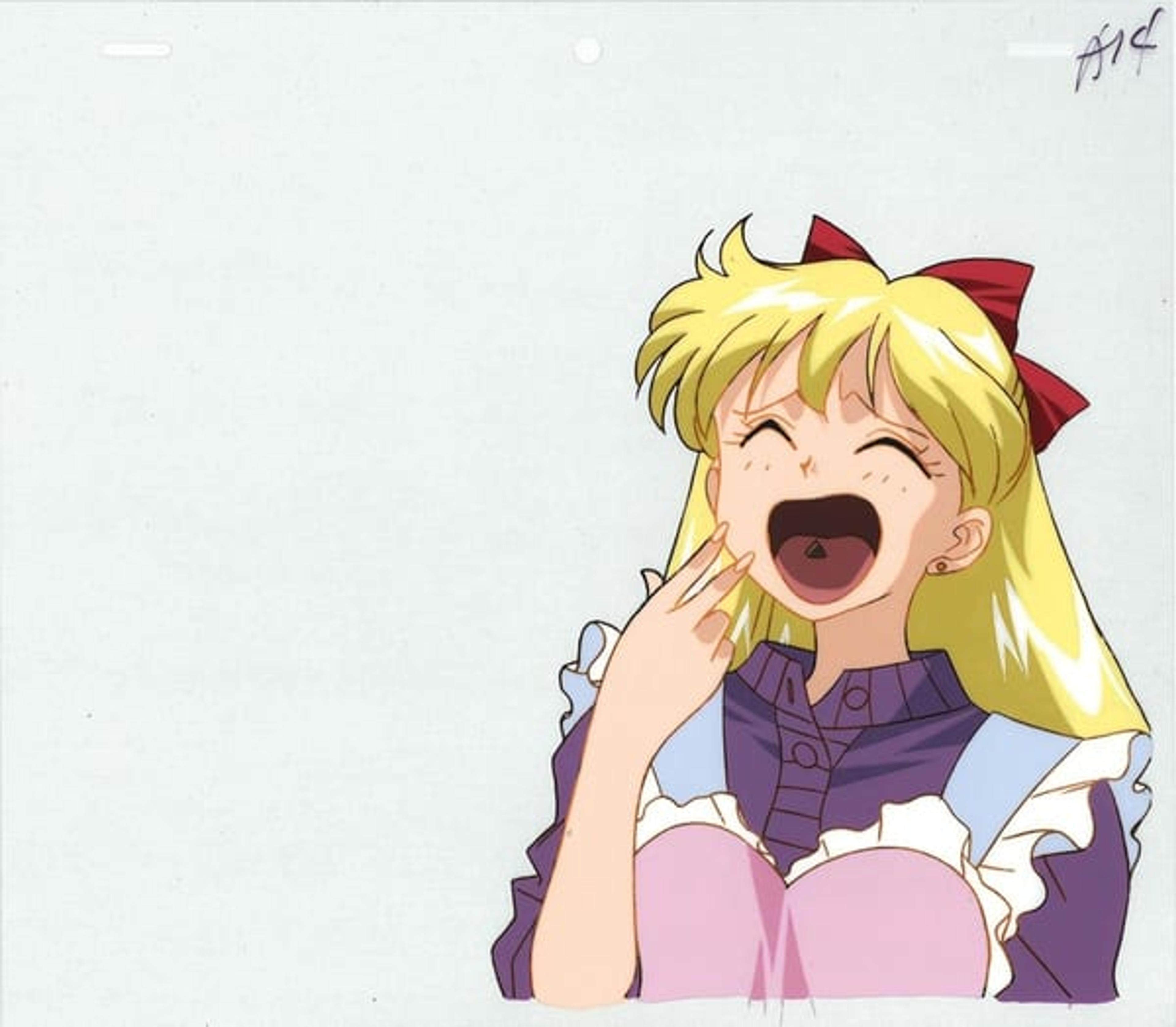 Sailor Moon