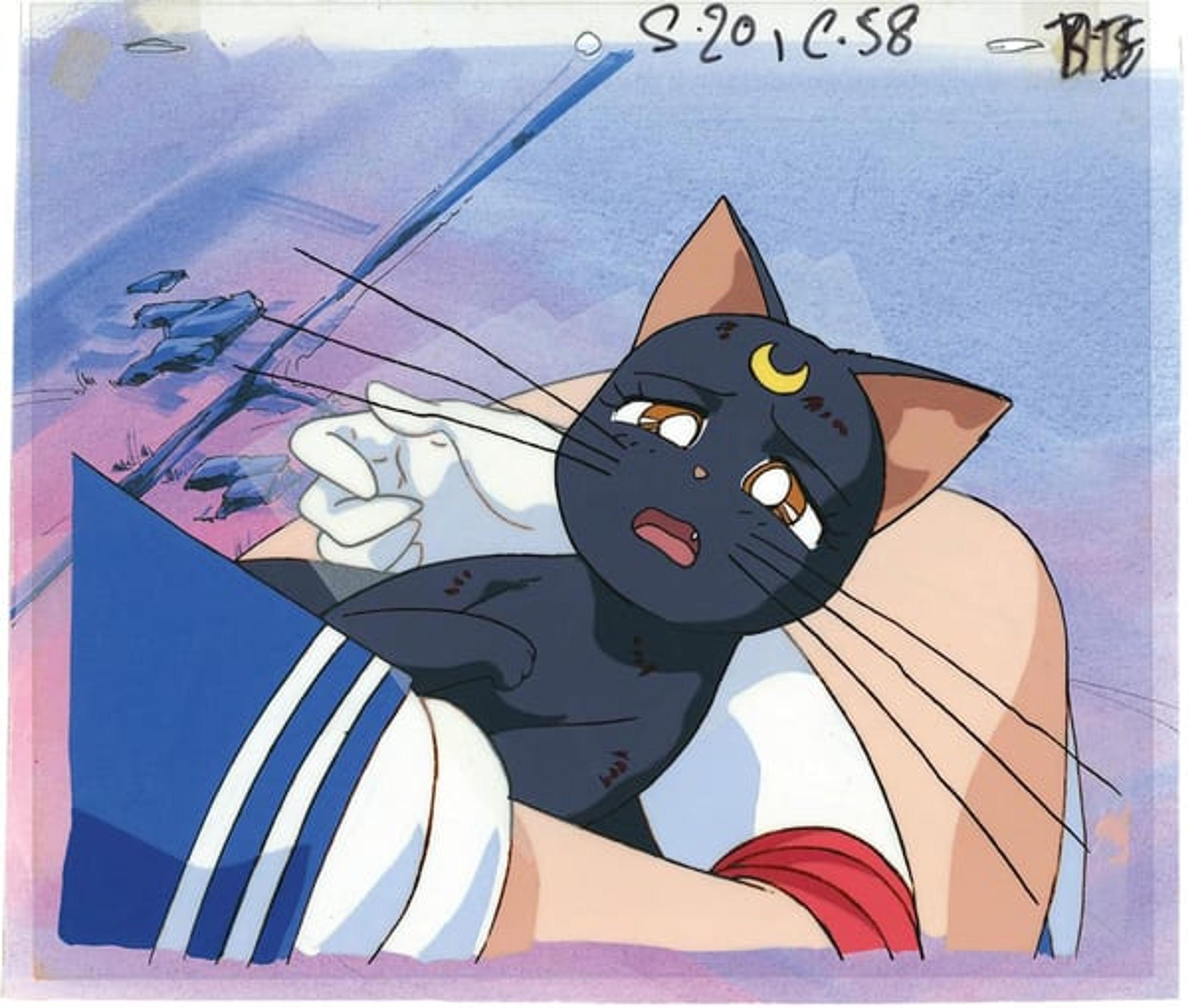 Sailor Moon