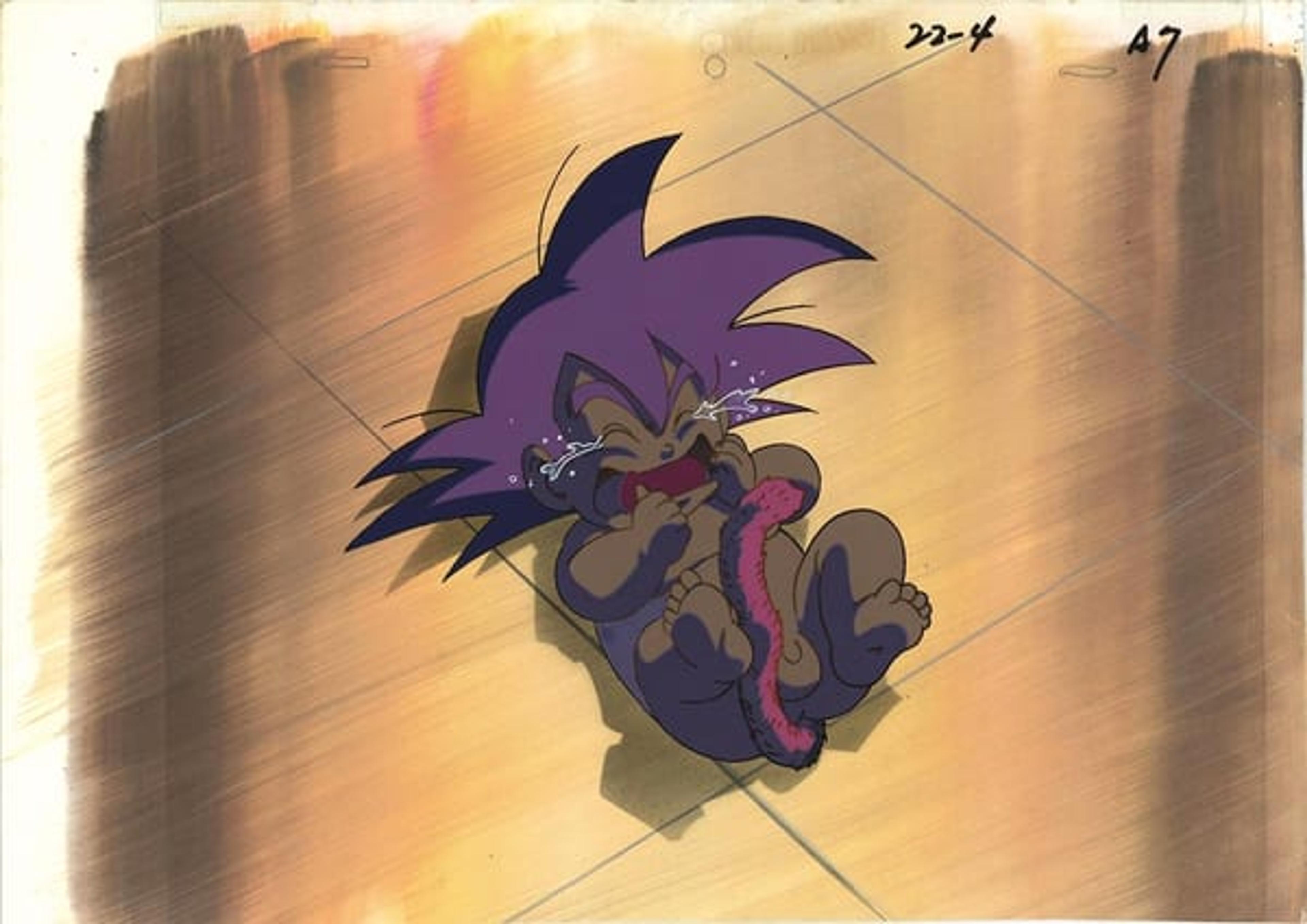 Dragon Ball Z: Super Android 13!