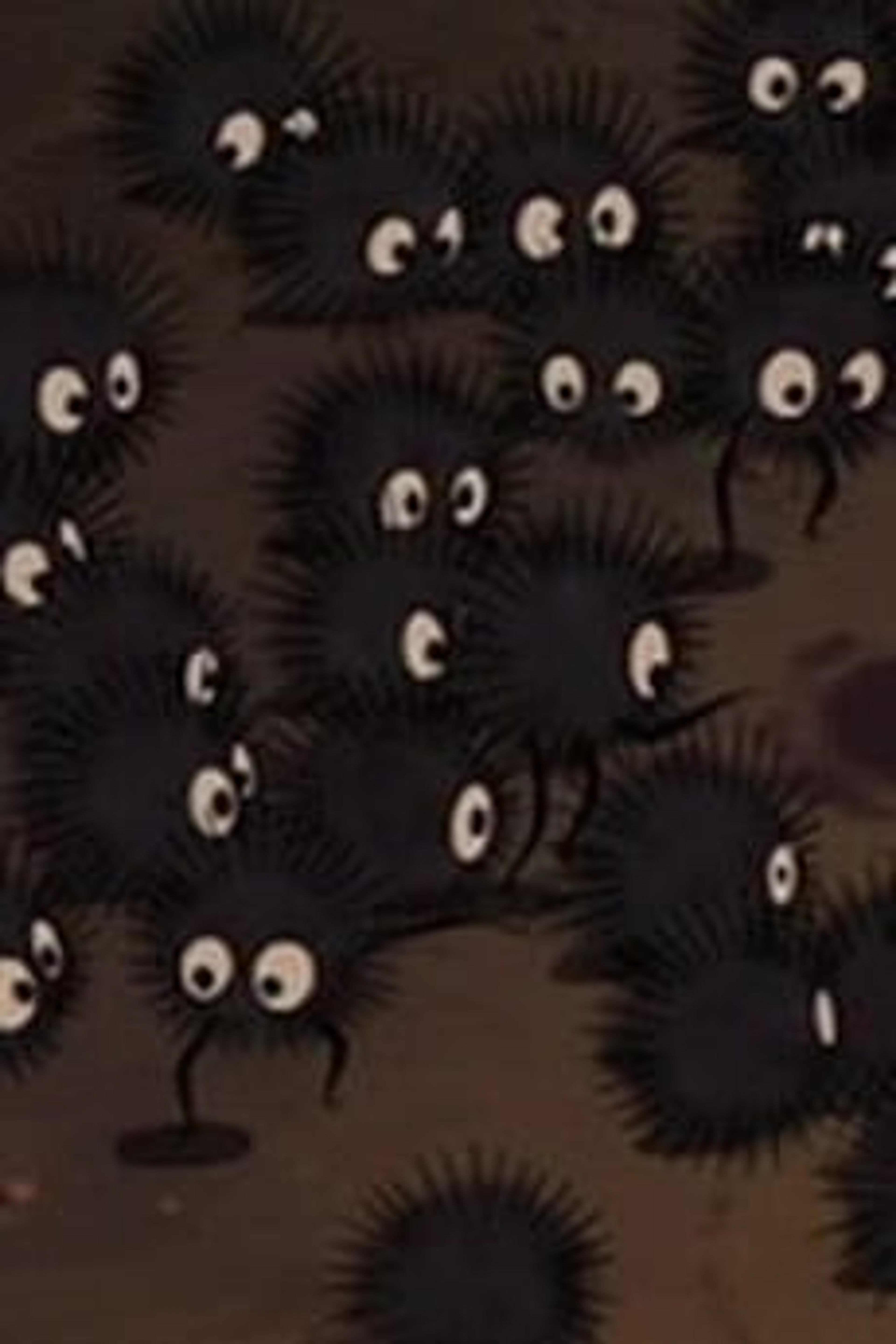Susuwatari