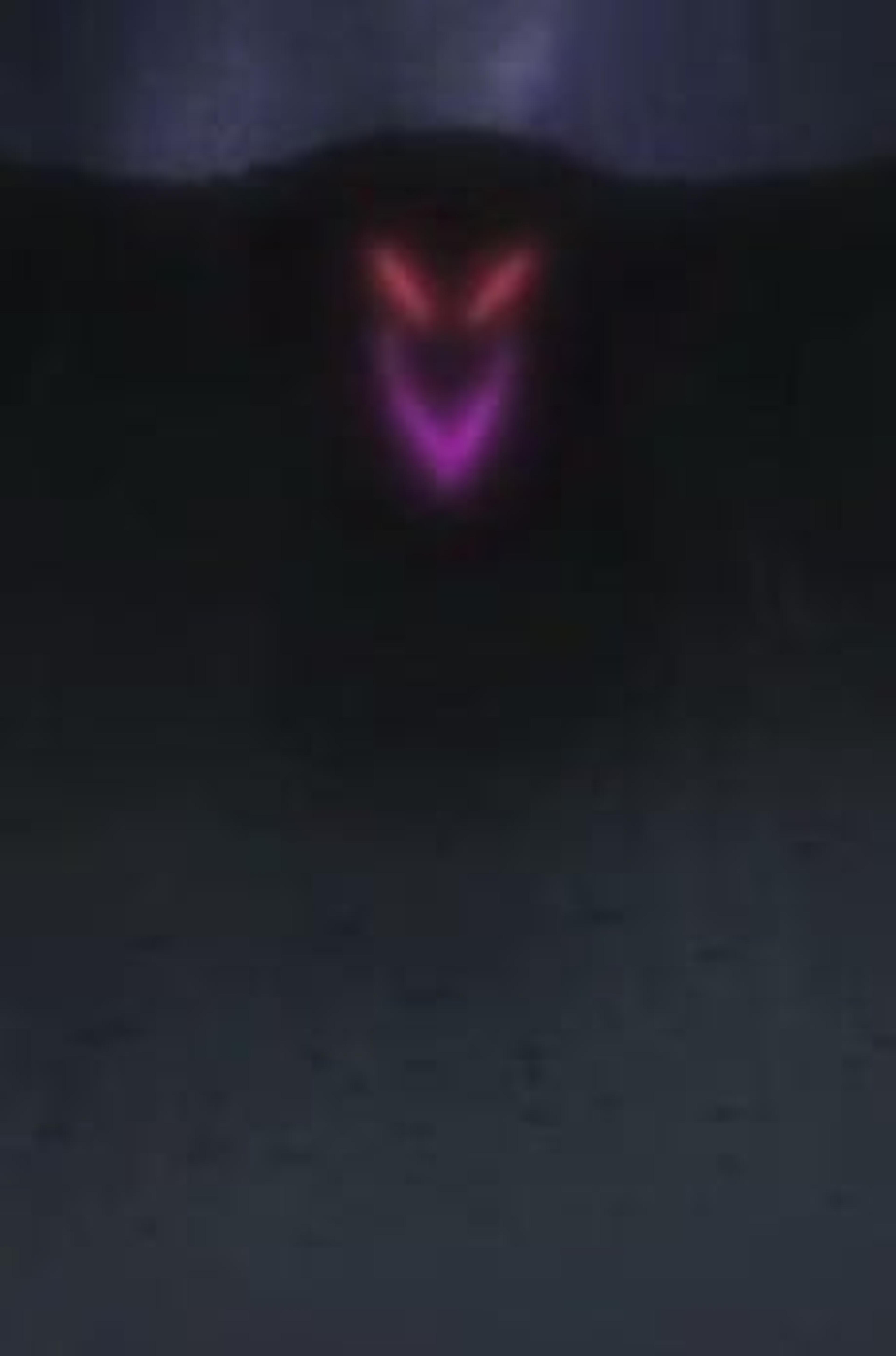 The Raven