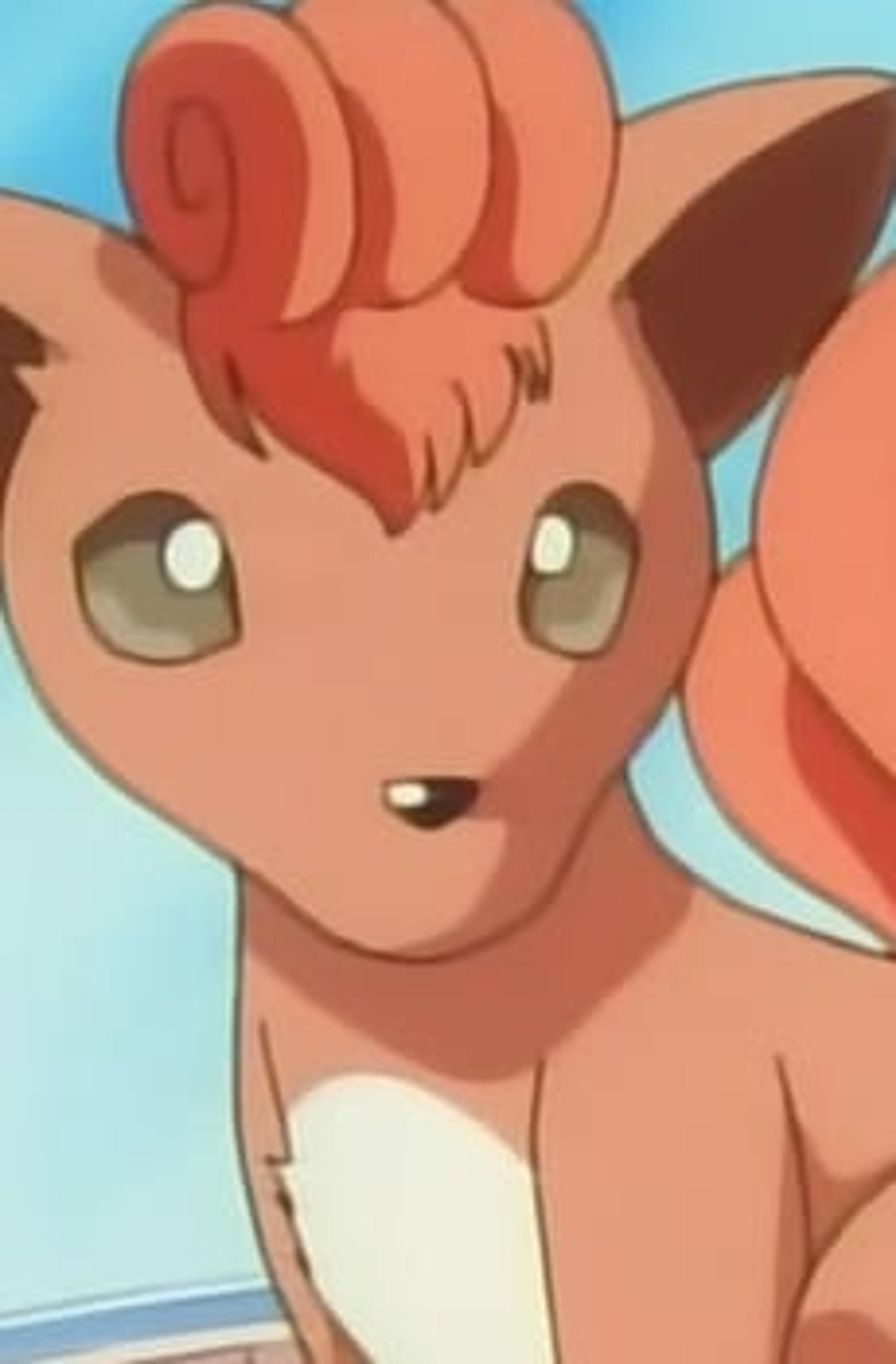 Rokon