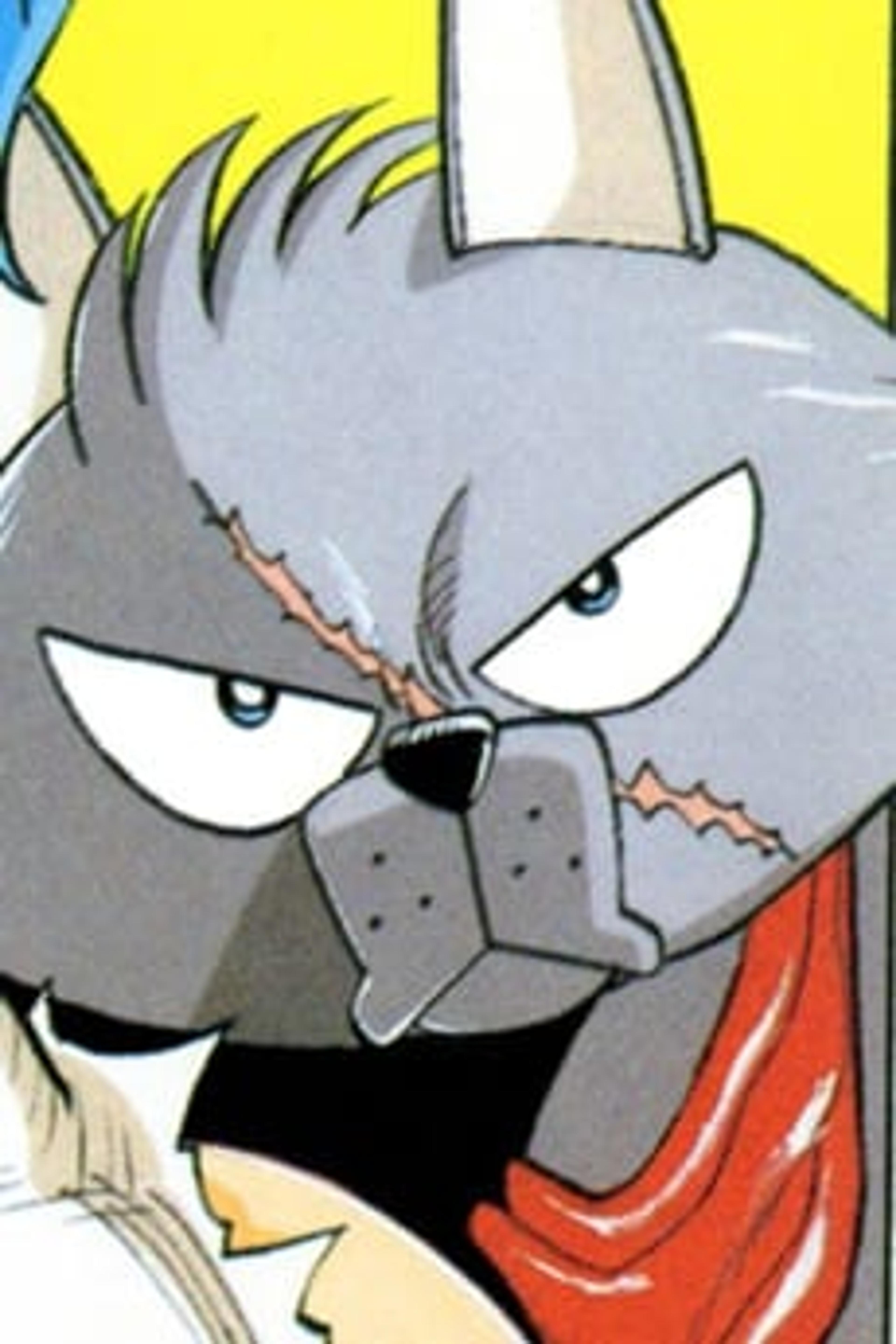Flipper