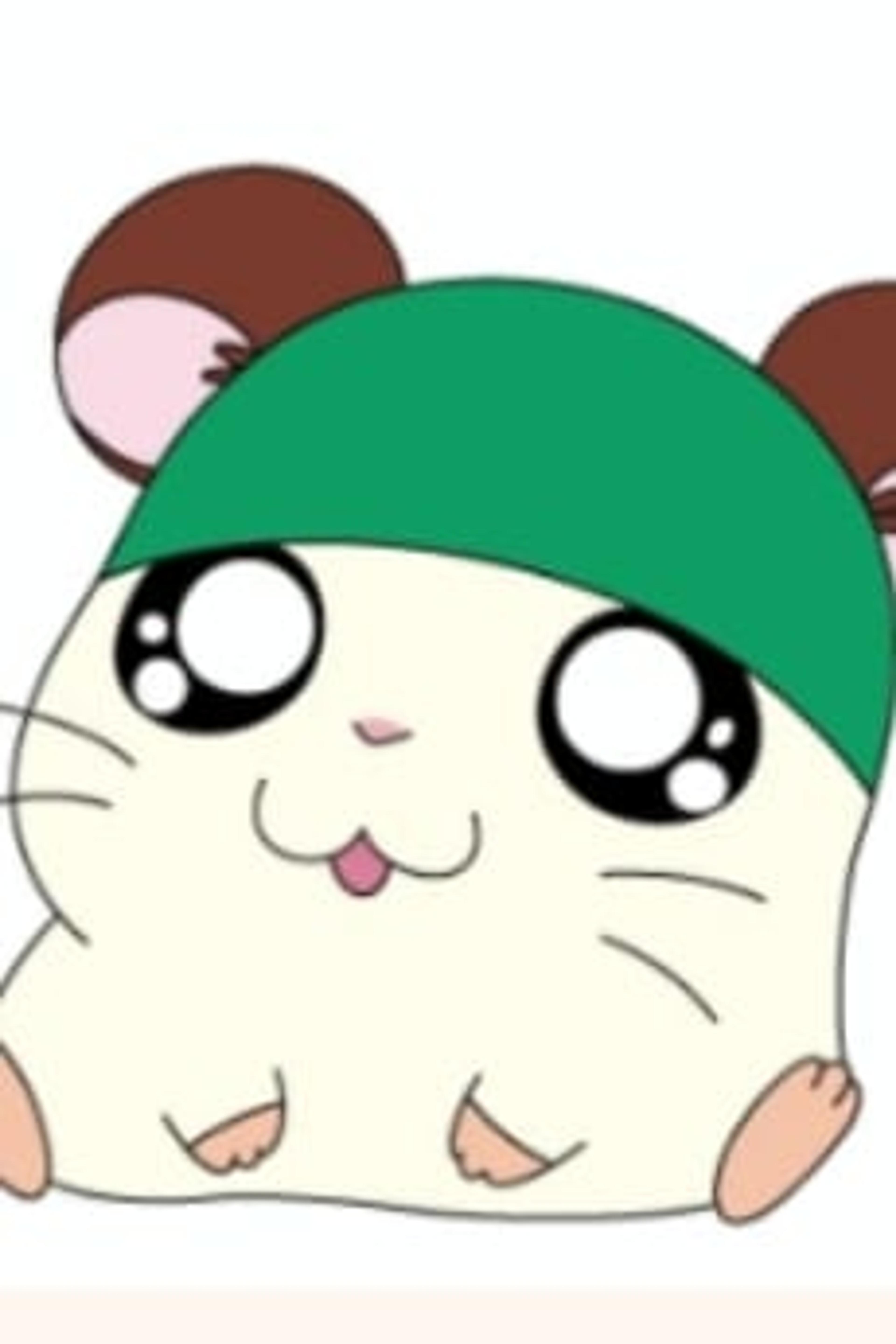 Kaburu-kun