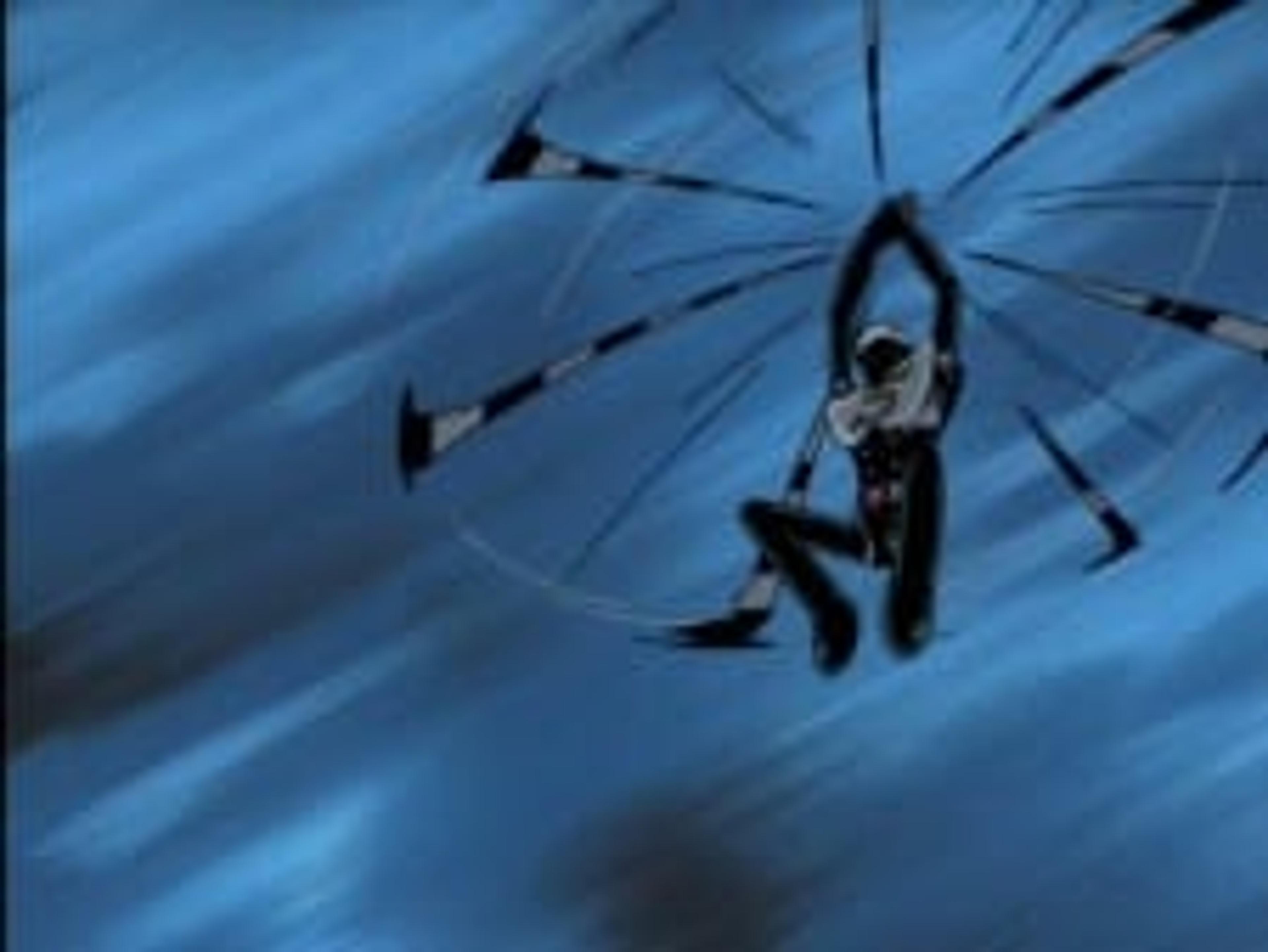 Silver Hakaider