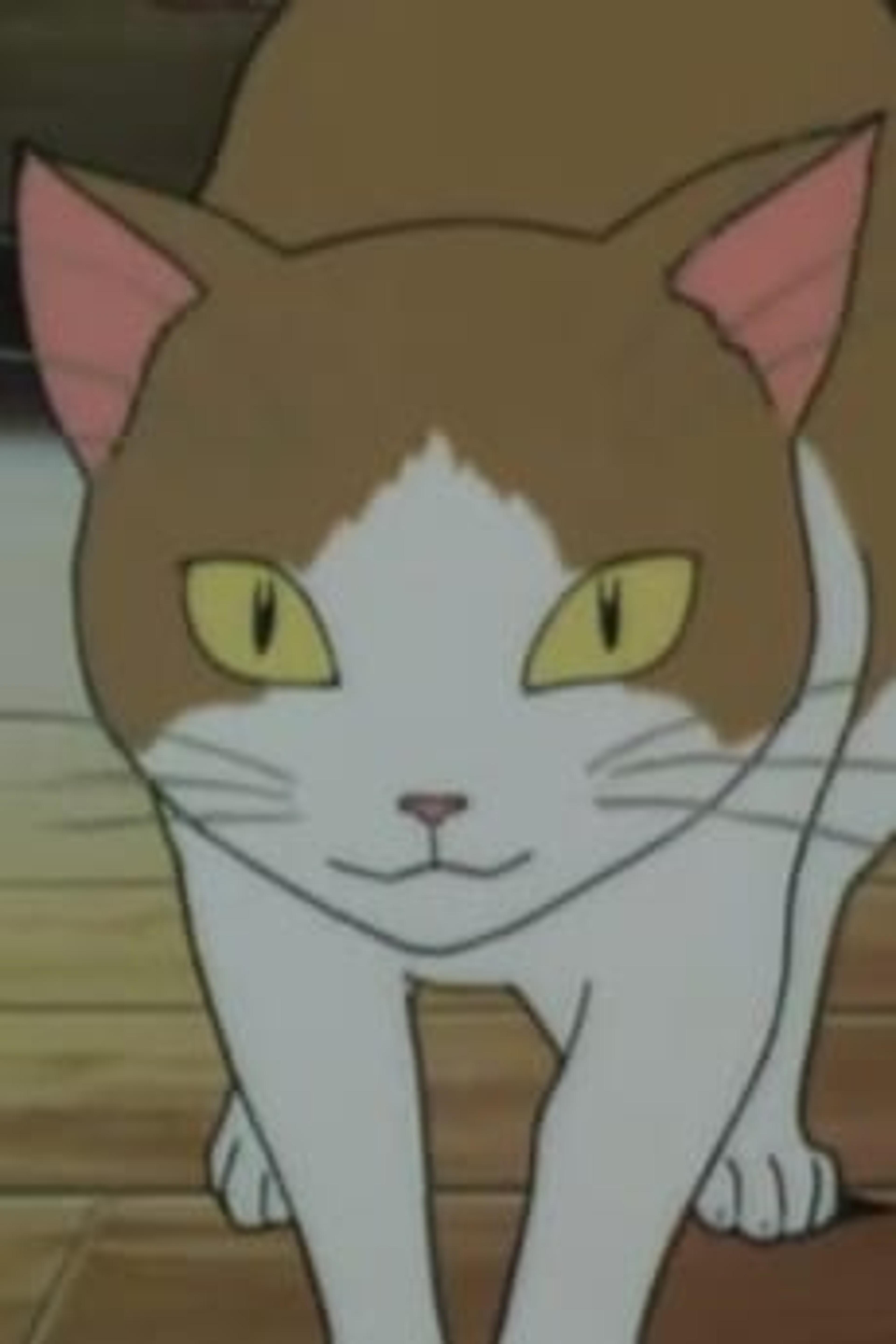 Neko no Miko