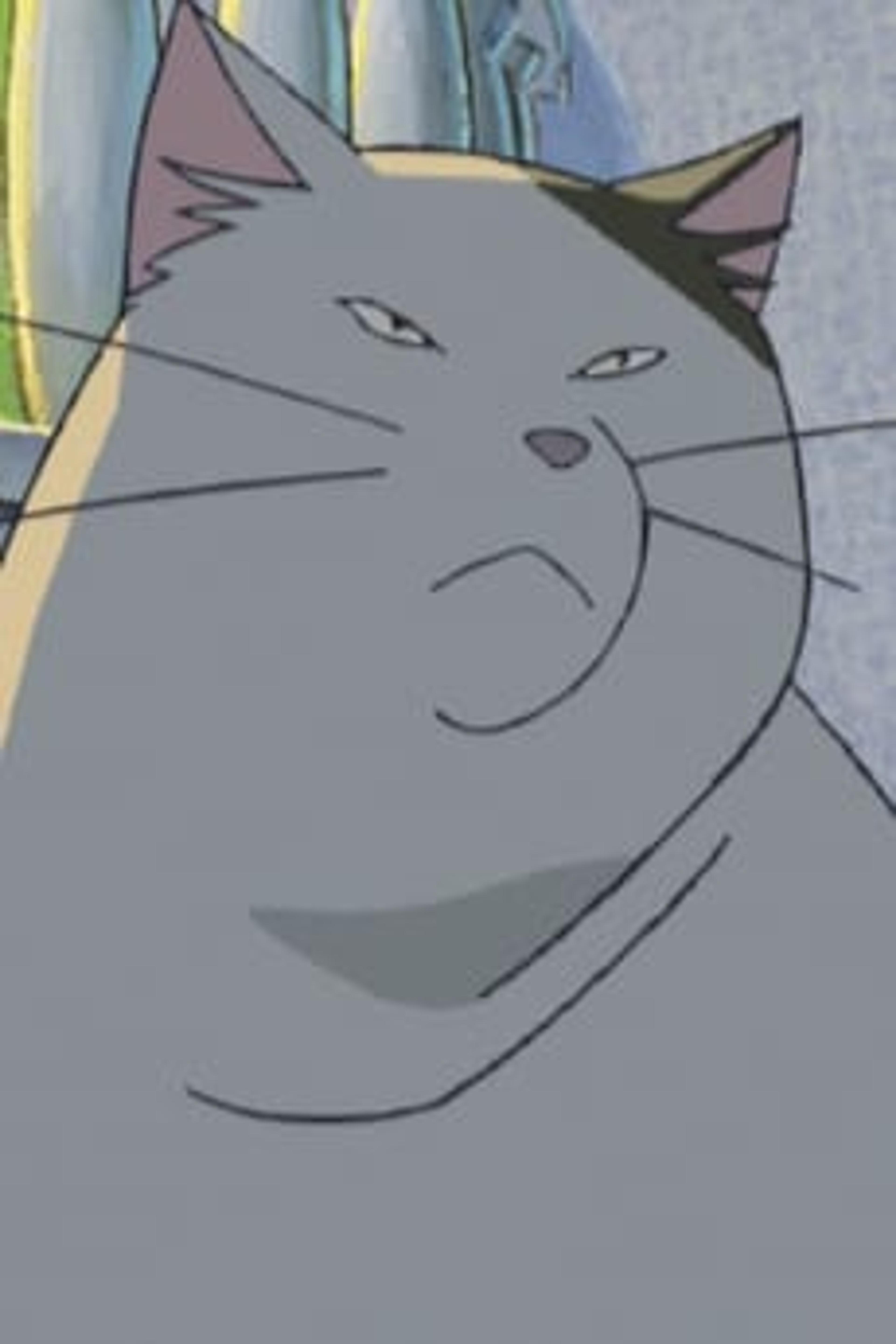 Muta