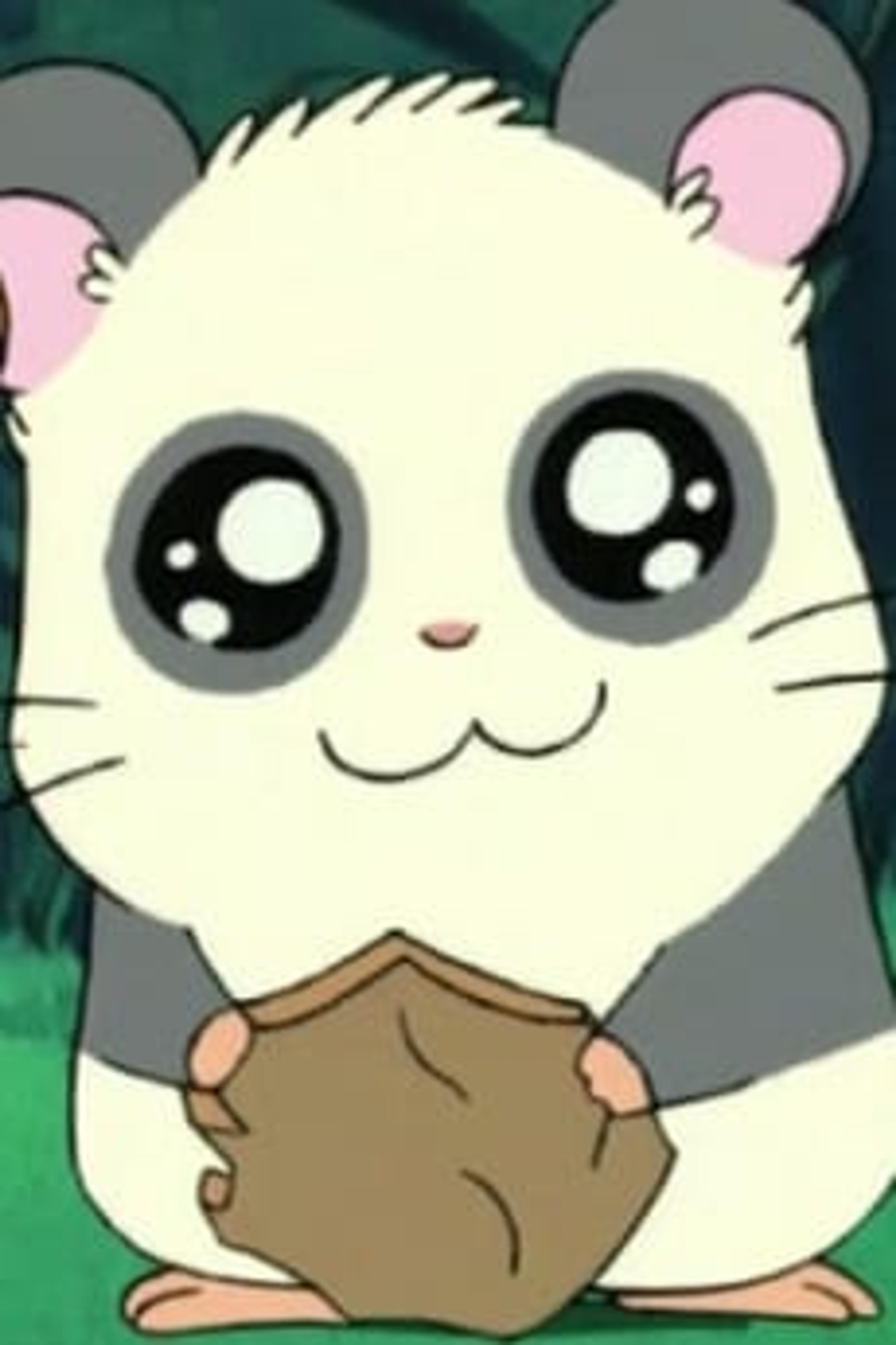 Panda-kun