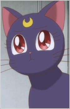 Luna P