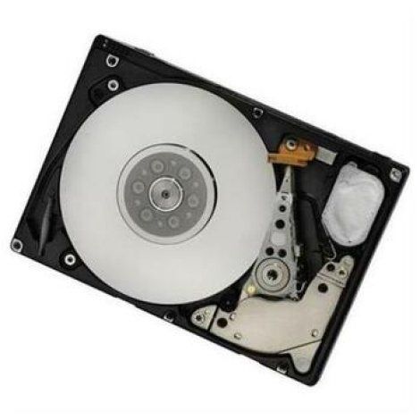 Hitachi 450GB 10000RPM SAS 6GB/s 2.5-inch Hard Drive (HUC106045CSS601)