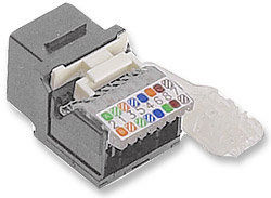 Intellinet 167161 keystone module