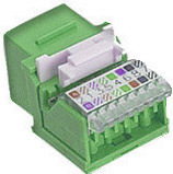 Intellinet 100250 keystone module