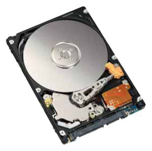 Fujitsu MHY2250BH internal hard drive 250 GB 5400 RPM 8 MB 2.5" Serial ATA