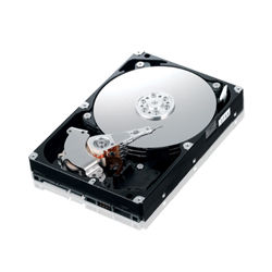 Samsung SpinPoint F1 334GB HDD internal hard drive 320 GB 7200 RPM 8 MB 3.5" Serial ATA II