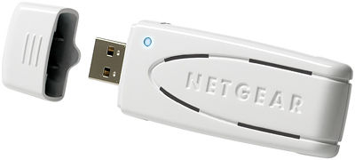 NETGEAR WN111-100FSS network card 300 Mbit/s