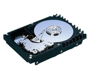 Fujitsu MBA3300RC internal hard drive 300 GB 15000 RPM 16 MB 3.5" SAS