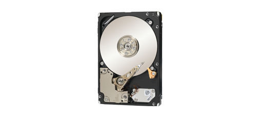 Seagate Savvio Enterprise Performance internal hard drive 300 GB 10000 RPM 16 MB 2.5" SAS