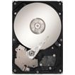 Seagate SV35 Series SV35 Ultra ATA 160-GB 20pk internal hard drive 160 GB 7200 RPM 8 MB 3.5" Ultra-ATA/100