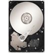 Seagate SV35 Series SV35 SATA 160-GB 20pk internal hard drive 160 GB 7200 RPM 8 MB 3.5" Serial ATA II