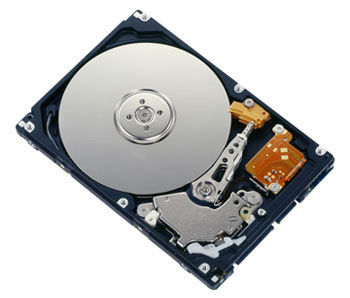 Fujitsu MHZ2320BH internal hard drive 320 GB 5400 RPM 8 MB 2.5" Serial ATA II