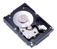 Fujitsu MAW 3300 NP internal hard drive 300 GB 8 MB Ultra320 SCSI