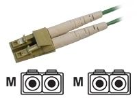 Fujitsu Fibre Channel Cable 5m InfiniBand/fibre optic cable 196.9" (5 m)