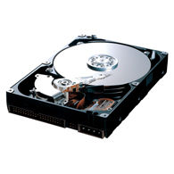 Samsung SpinPoint F1 500GB Serial ATA II HDD internal hard drive 7200 RPM 16 MB 3.5"