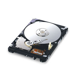 Samsung Spinpoint P HM500LI/Y internal hard drive 500 GB 5400 RPM 8 MB 2.5" Serial ATA