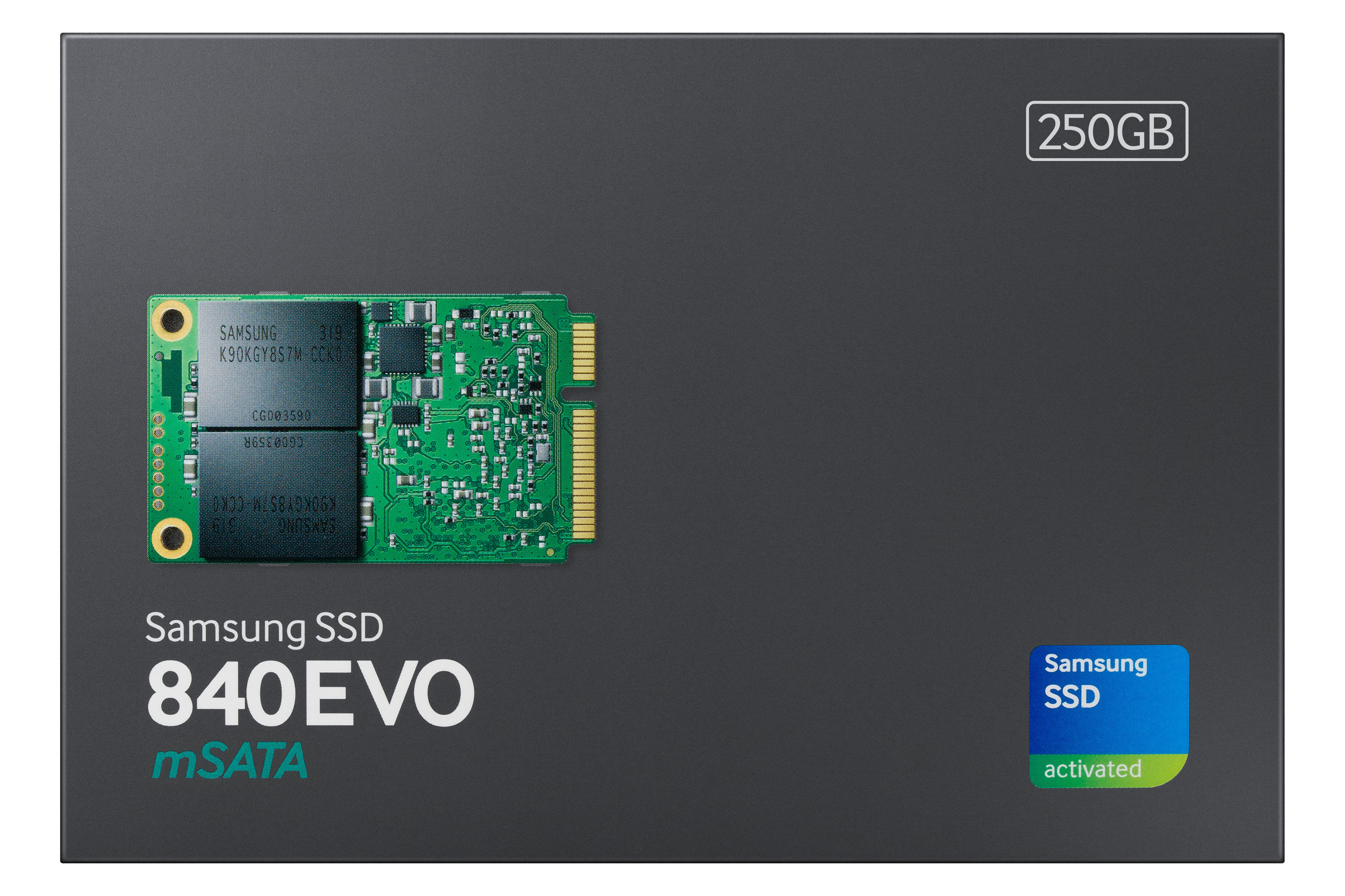Samsung 840 EVO 250 GB mSATA Serial ATA