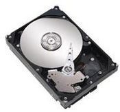 Seagate Cheetah 15K.5 Ultra320 SCS 73.4GB internal hard drive 15000 RPM 16 MB SCSI