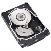 Seagate Cheetah 15K.5 Ultra320 SCSI 146.8GB internal hard drive 15000 RPM 16 MB