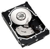 Seagate Cheetah 15K.5 Ultra320 SCSI 73GB internal hard drive 73.4 GB 15000 RPM 16 MB 3.5"
