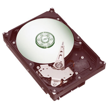 Seagate Desktop HDD WD Barracuda 7200.8 300GB 8MB (ST3300831A) internal hard drive 7200 RPM Ultra-ATA/100
