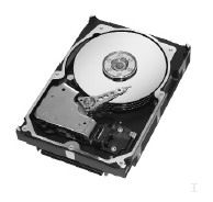Seagate Cheetah 10K.7 300GB Ultra320 20 pk internal hard drive 10000 RPM 8 MB 3.5" SCSI