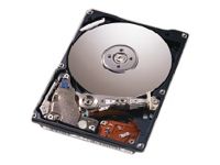 Lenovo HD 40GB ATA100 EIDE SL 7200rpm f TC internal hard drive 2 MB 3.5" Ultra-ATA/100