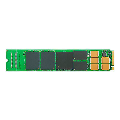 Seagate Nytro XM1440 800 GB M.2 PCI Express eMLC