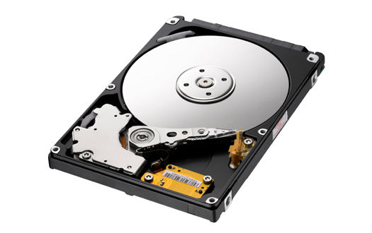 Samsung Spinpoint M HM320II internal hard drive 320 GB 5400 RPM 8 MB 2.5" Serial ATA II